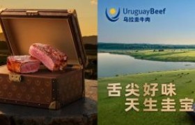 “舌尖好味 天生圭宝”上线半年：乌拉圭牛肉如何用一只“宝箱”抢占中国高端餐桌